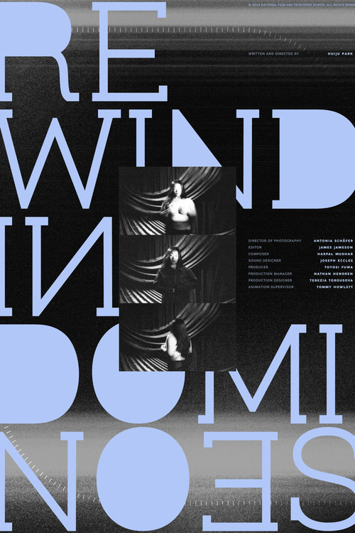 Rewinding Dominoes poster
