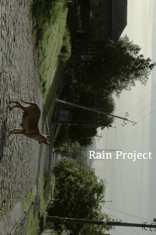 Rain Project poster