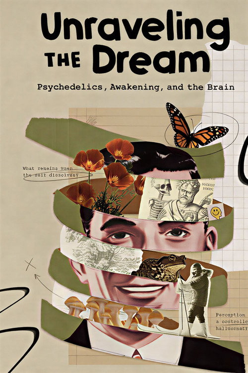Unraveling the Dream poster