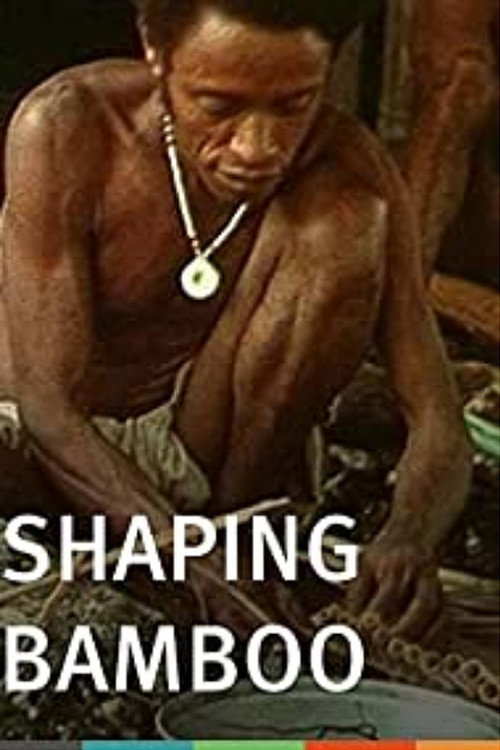 Shaping Bamboo poster
