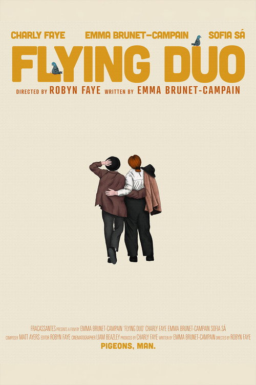 Flying Duo poster