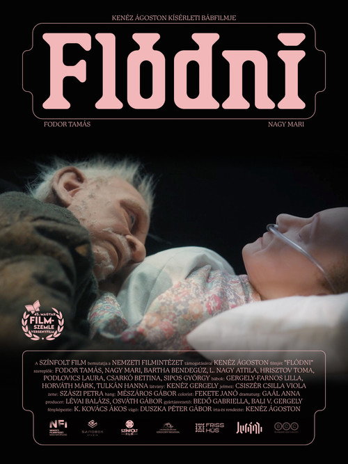 Flódni poster