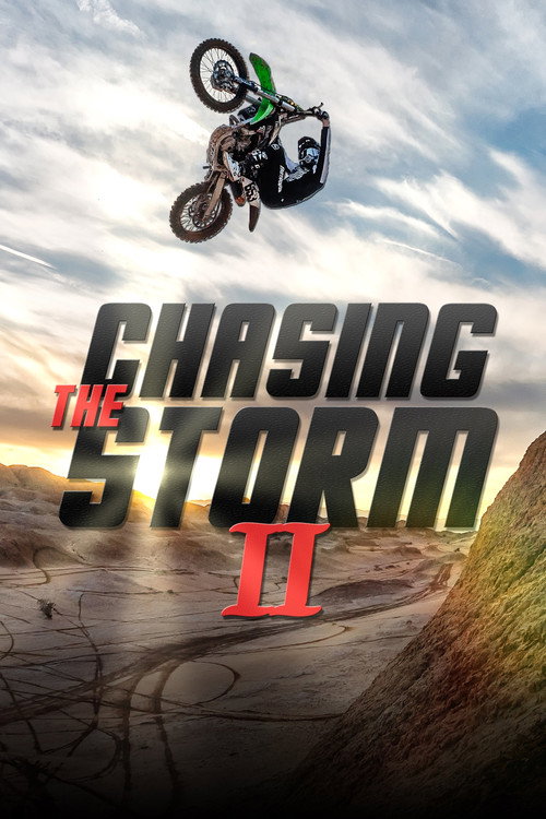 Chasing The Storm 2 poster