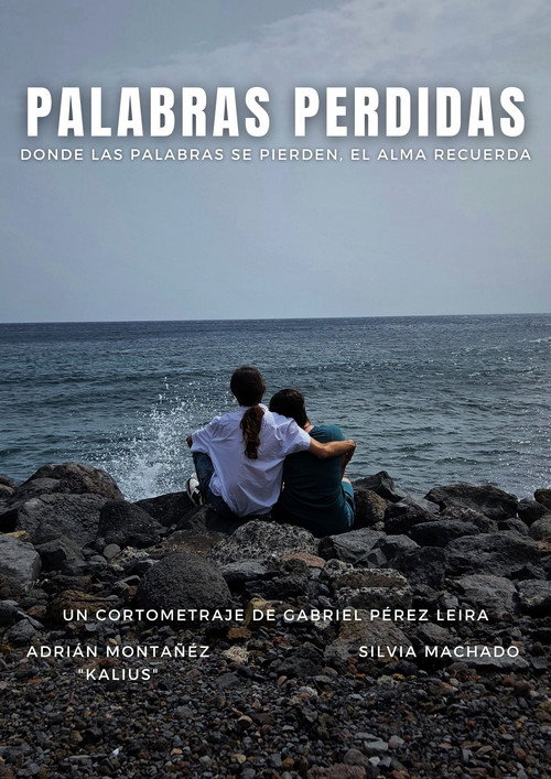 Palabras Perdidas poster