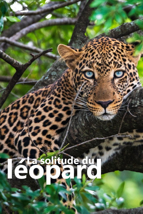 La solitude du léopard poster