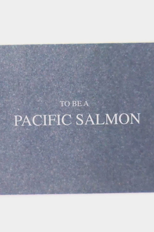 To Be A Pacific Salmon poster