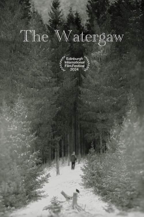 The Watergaw poster