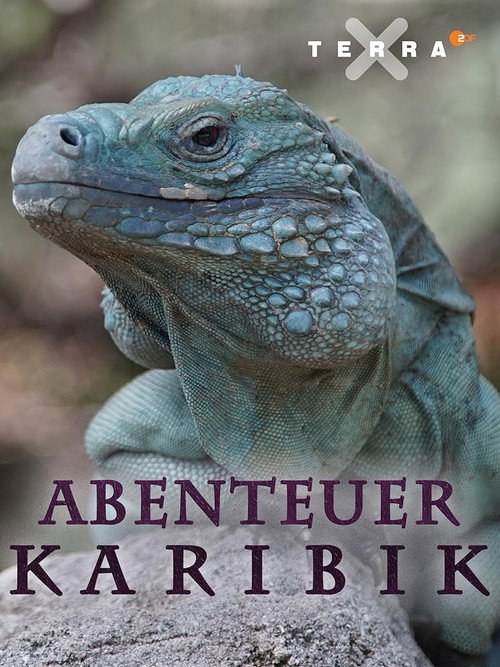 Abenteuer Karibik poster