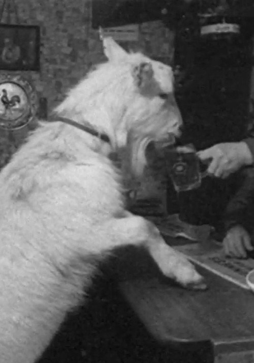 Beer-drinking Billy poster
