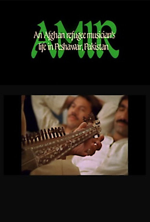 Amir: An Afghan Refugee Musician's Life in Peshawar, Pakistan poster