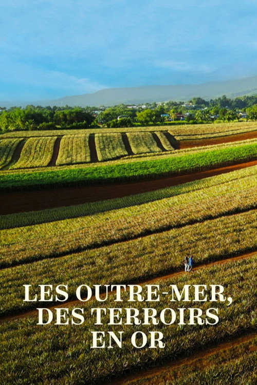 Les Outre-mer, des terroirs en or poster