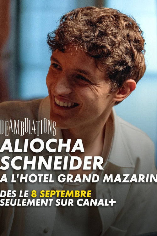 ‎Déambulations : Aliocha Schneider à l'Hôtel Grand Mazarin poster