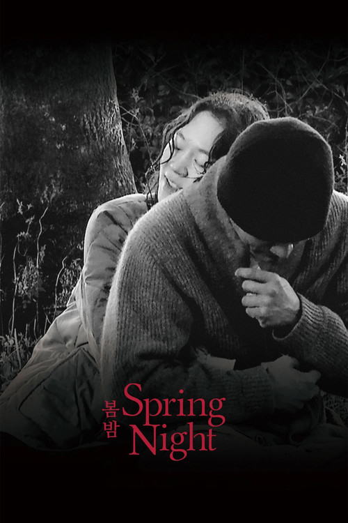 Spring Night poster