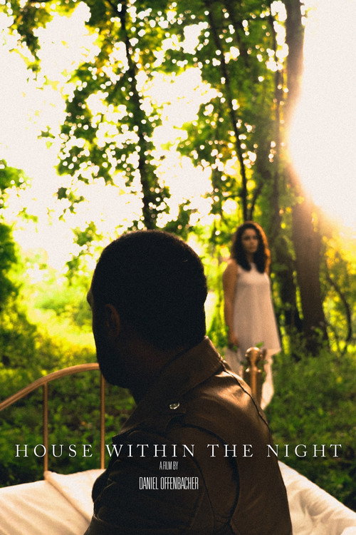 House Within The Night poster