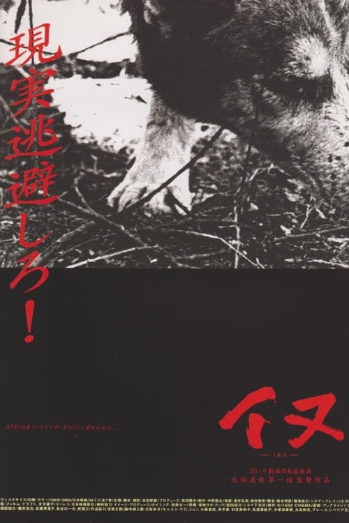 Dog poster