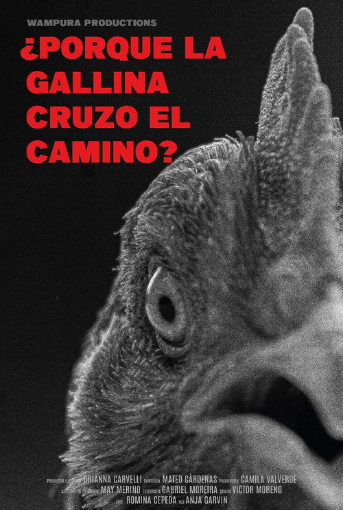 ¿Por qué la gallina cruzó el camino? poster