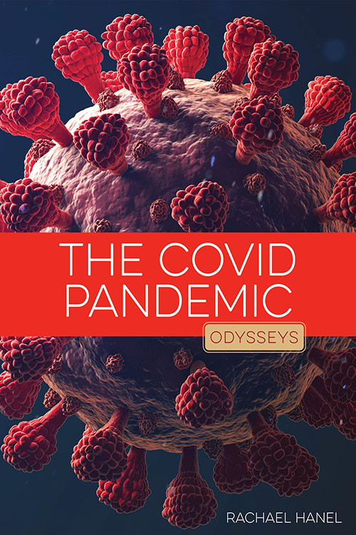 The Coronavirus Epidemic poster