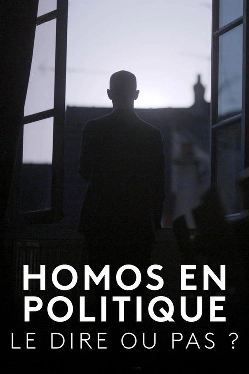 Homos en politique, le dire ou pas ? poster
