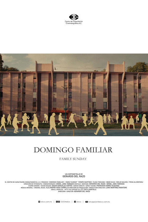 Family Sunday poster