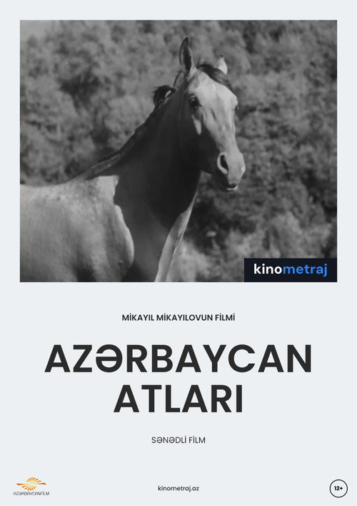 Azerbaijani Horses poster