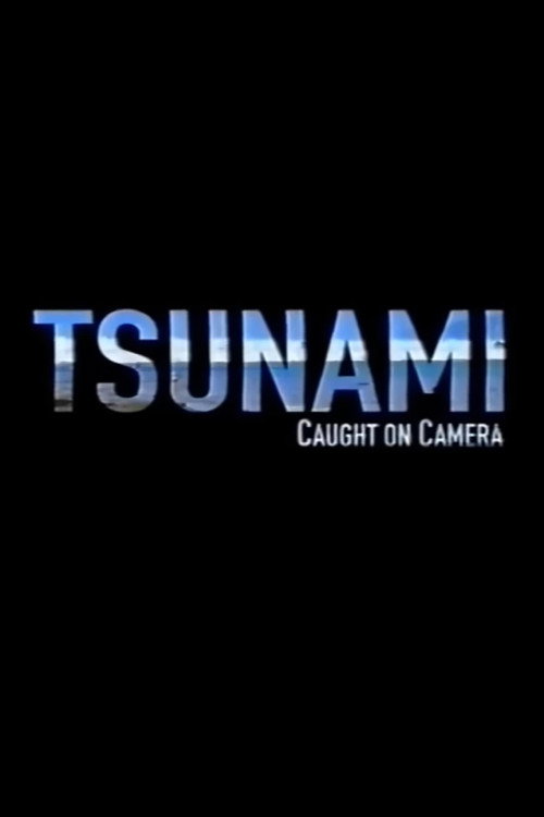 Tsunami: Caught on Camera poster