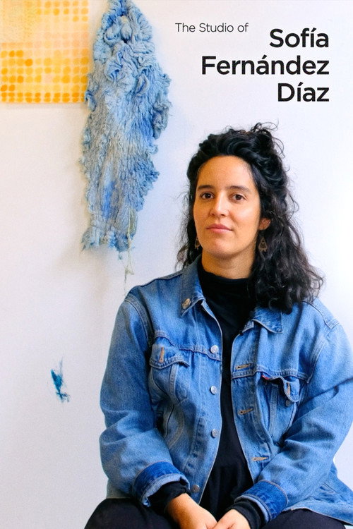 The Studio of Sofía Fernández Díaz poster
