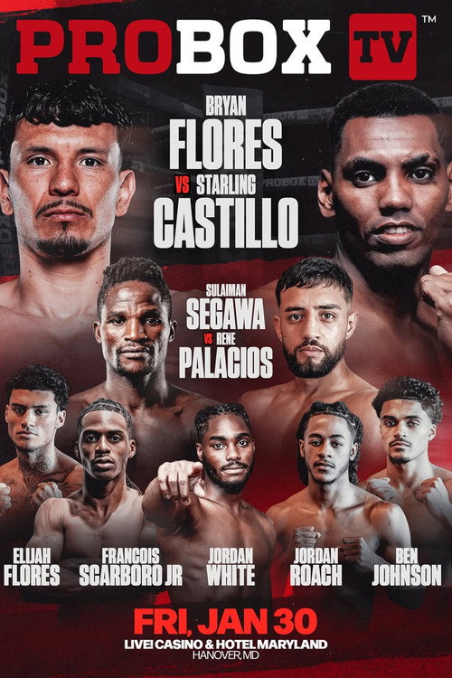 Bryan Flores vs. Starling Castillo poster