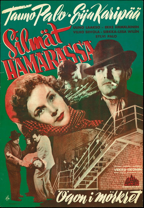 Silmät hämärässä poster