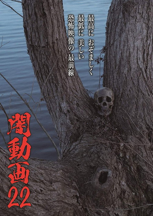Tokyo Videos of Horror 22 poster