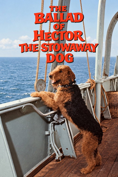 The Ballad of Hector the Stowaway Dog poster