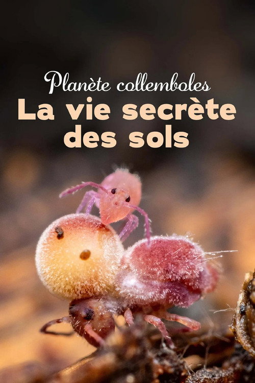 Springtails: The hidden soldiers of Earth poster