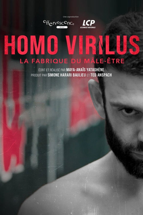 Homo virilus : la fabrique du mâle-être poster