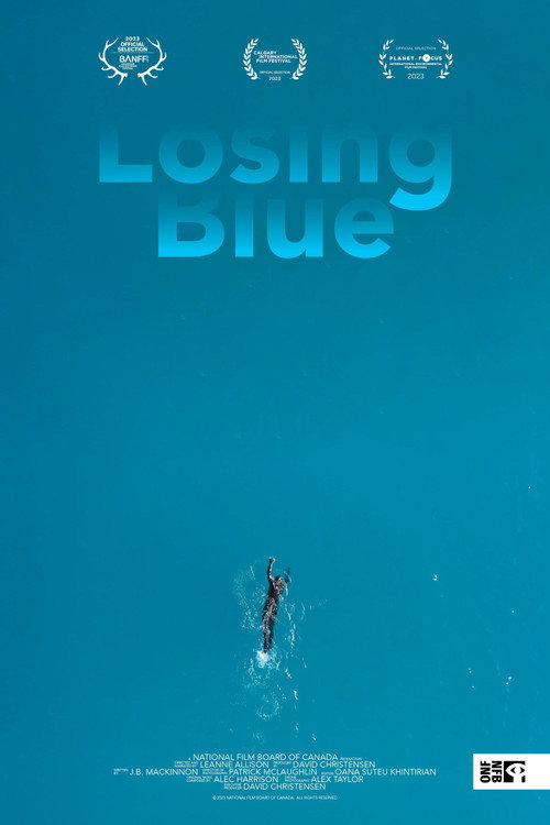 Losing Blue poster
