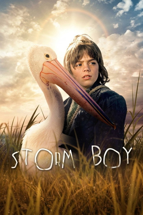 Storm Boy poster