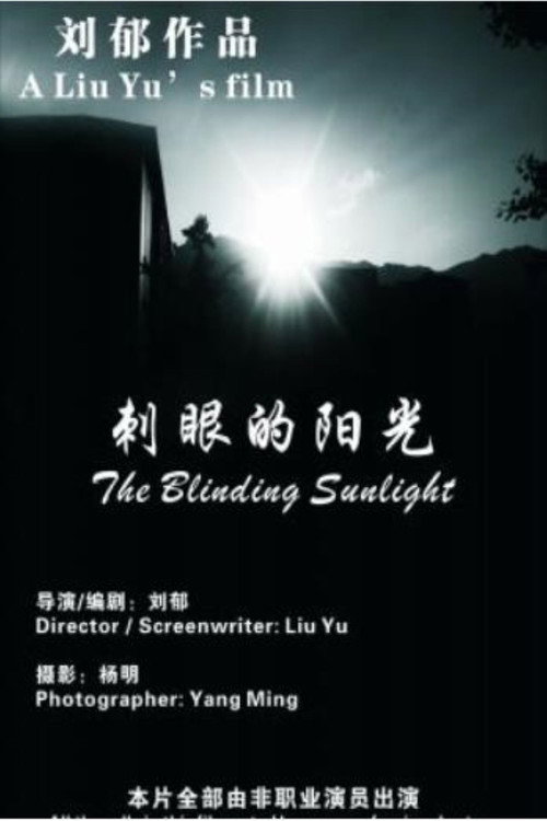 The Blinding Sunlight poster