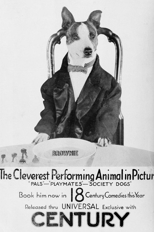 Society Dogs poster