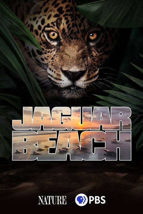 Jaguar Beach poster