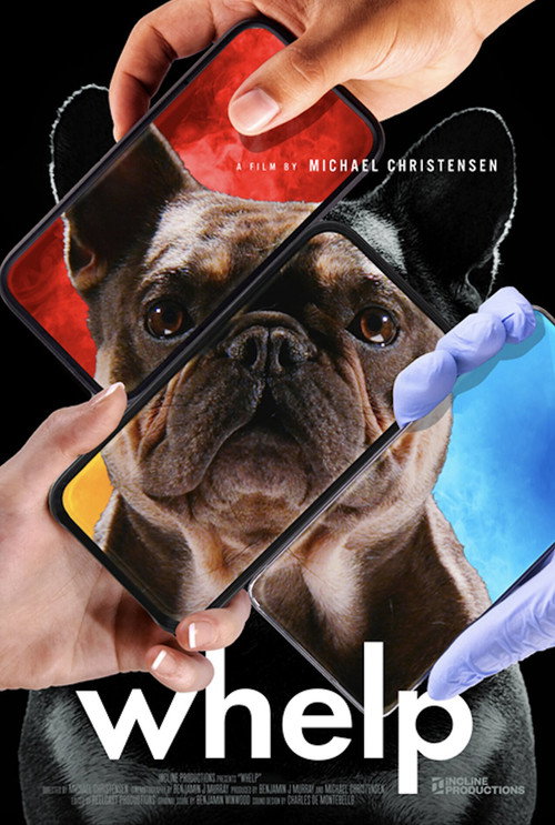 Whelp poster