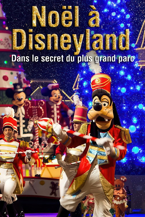 Noël à Disneyland : Dans le secret du plus grand parc d'attraction d'Europe poster