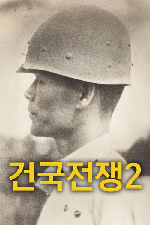 The Birth of Korea 2: Freedom Fighter poster