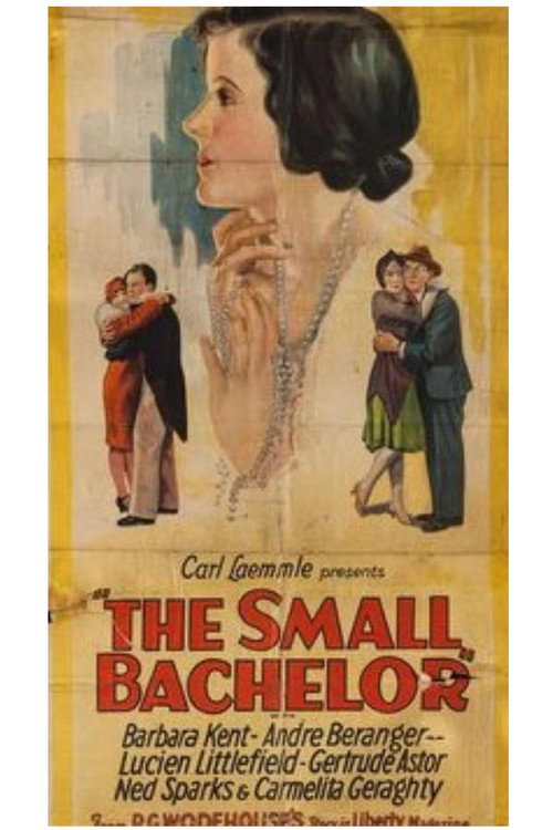 The Small Bachelor poster
