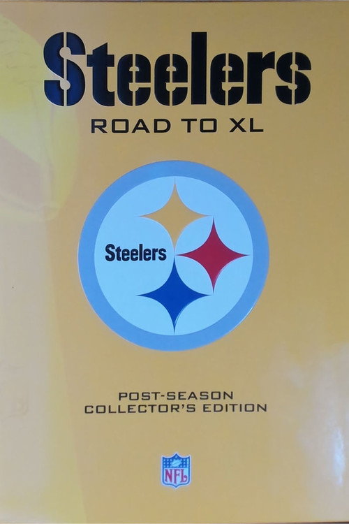 Pittsburgh Steelers Road to Super Bowl XL poster