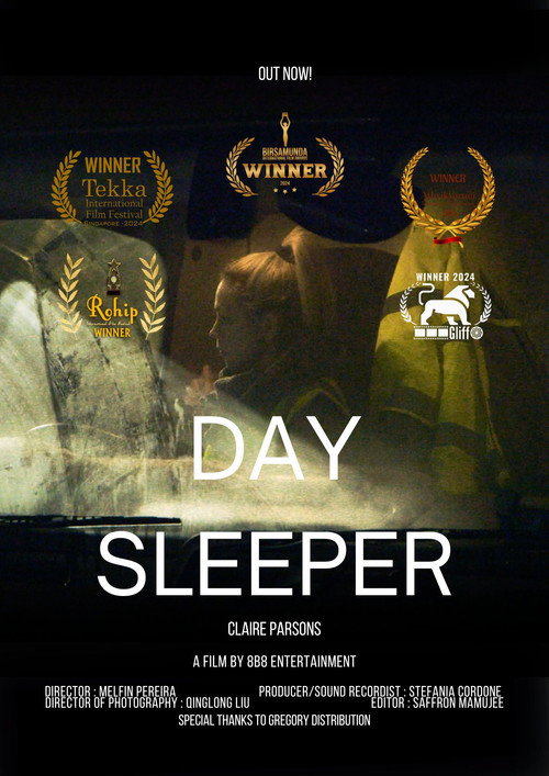Day Sleeper poster