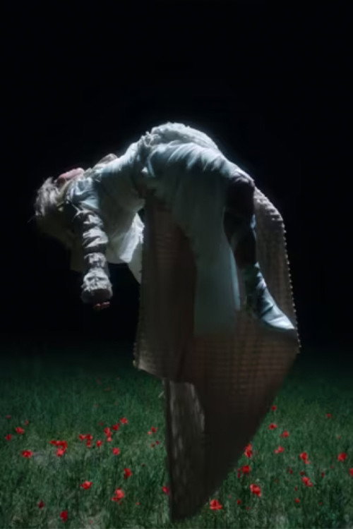 POPPY poster