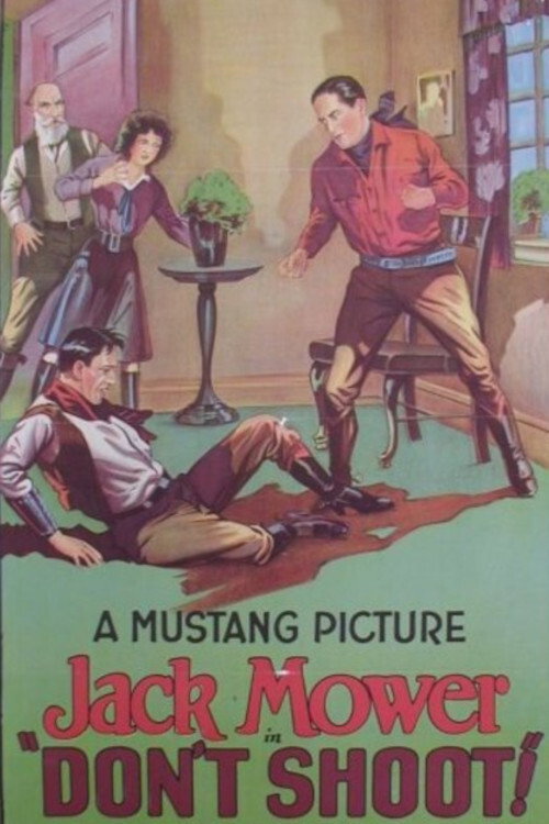Don't Shoot poster