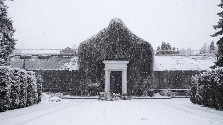 The Winter Garden’s Tale still 1