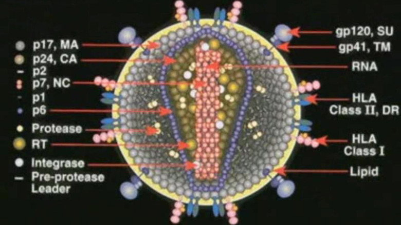 Deconstructing the Myth of Aids still 1