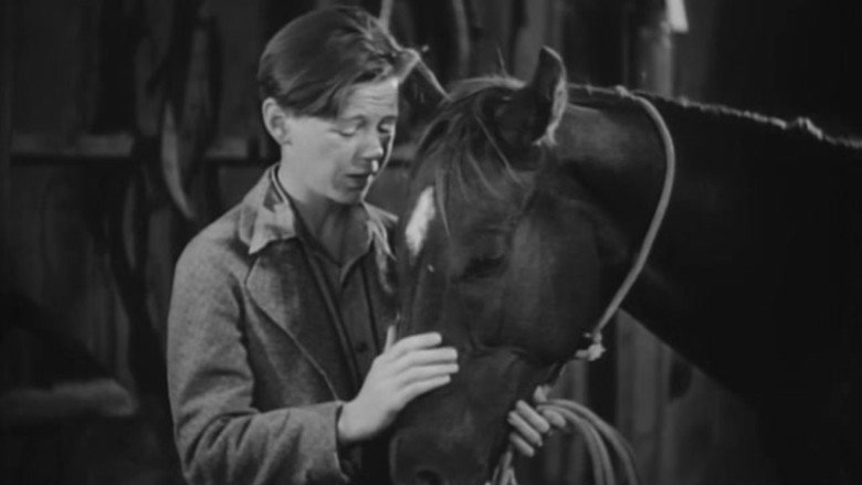 Two Thoroughbreds still 1