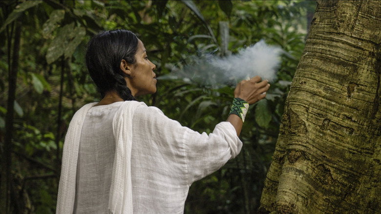 Curandera still 3