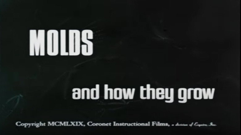 Molds and How They Grow still 1